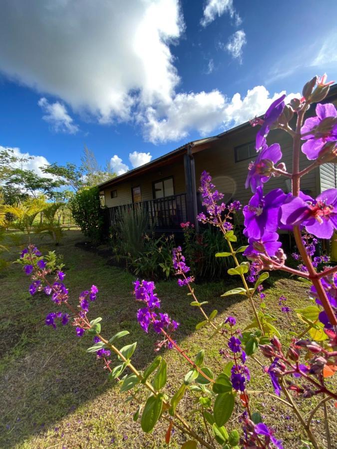 Maunga Roa Eco Lodge Hanga Roa Exterior foto