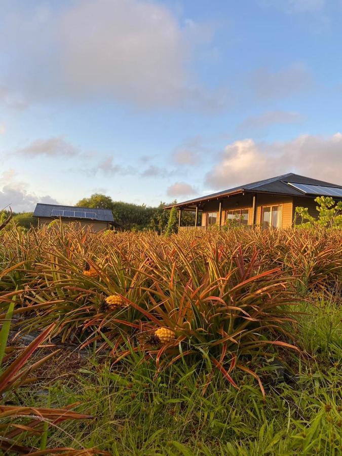 Maunga Roa Eco Lodge Hanga Roa Exterior foto